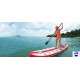Paddle Zray Premium A1