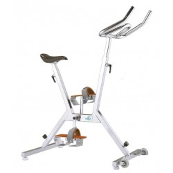 Aquabike Family Bike