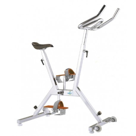 Aquabike Family Bike