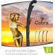 Douche piscine solaire Cobra