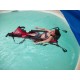 Lève personne piscine Baignalo