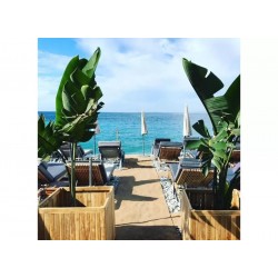 Tapis en Fibre de Coco Ecologique pour Accès