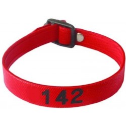 Bracelet piscine PM 