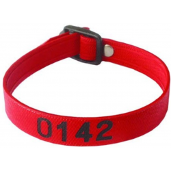 Bracelet piscine PM 