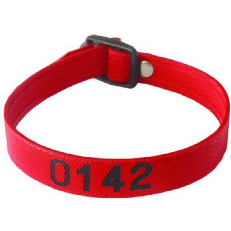 Bracelet piscine PM 