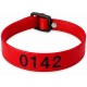 Bracelet piscine PM 