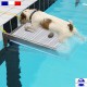 Rampe animaux antinoyade de piscine